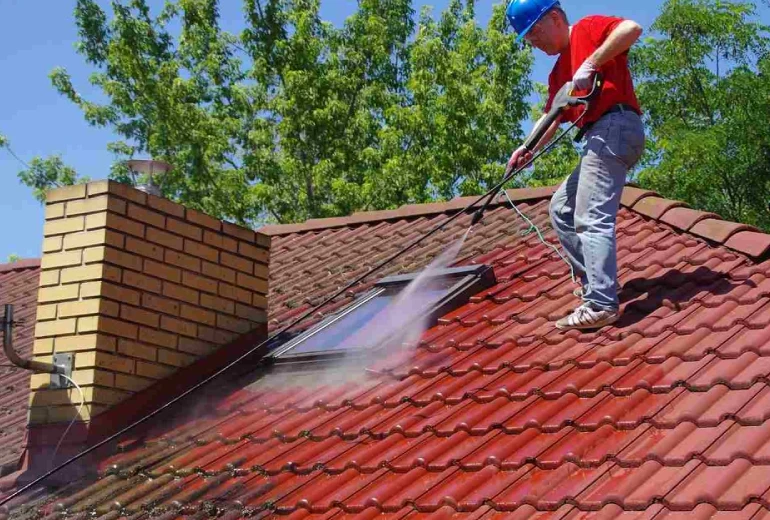 Roof Cleaning