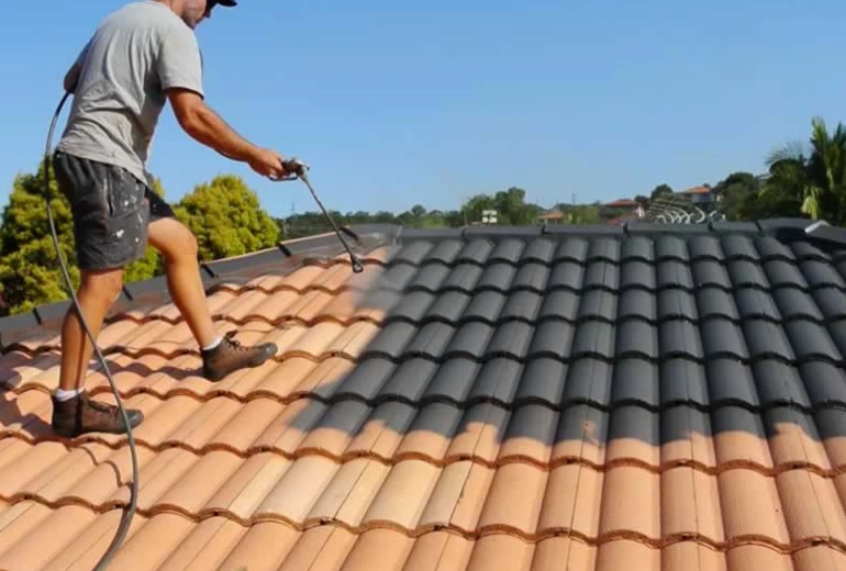 Roof Painting