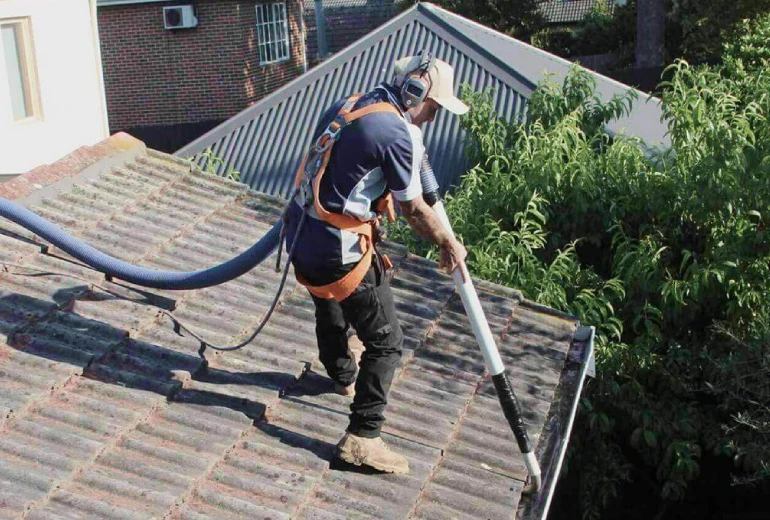 Gutter Cleaning